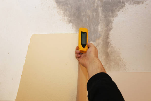 Best Asbestos and Lead Testing During Mold Inspection  in Mi Wuk Village, CA