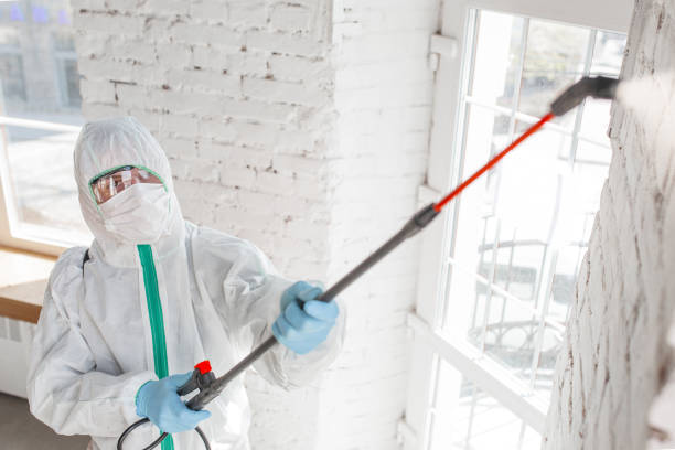Best Real Estate Mold Inspection  in Mi Wuk Village, CA