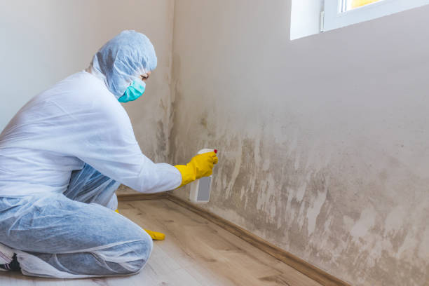 Forensic Mold Investigation in Mi Wuk Village, CA
