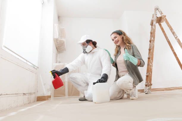 Best Mold Odor Removal Services  in Mi Wuk Village, CA