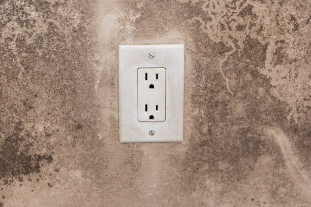 Best Post-Construction Mold Inspection  in Mi Wuk Village, CA